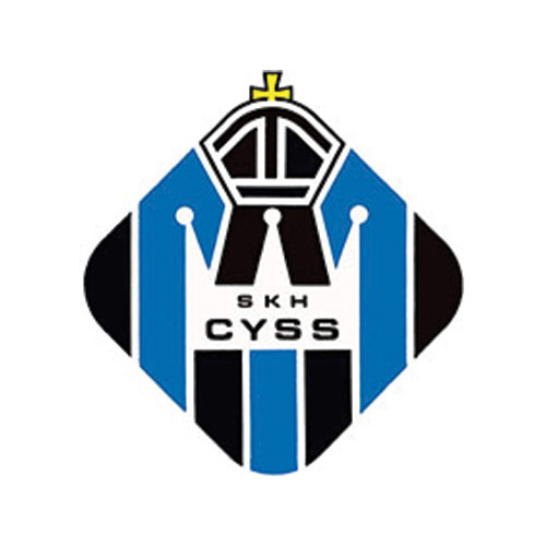 聖公會陳融中學 SKH Chan Young Secondary School